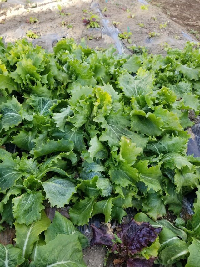 20230104_084711_copy_2268x3024