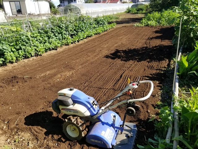 20210910_144349_copy_3024x2268