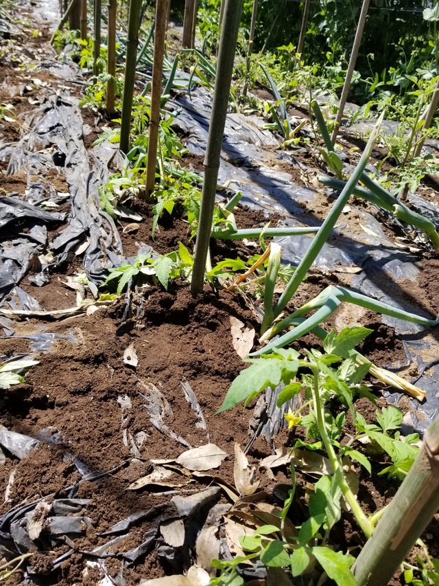 20230427_103257_copy_1512x2016