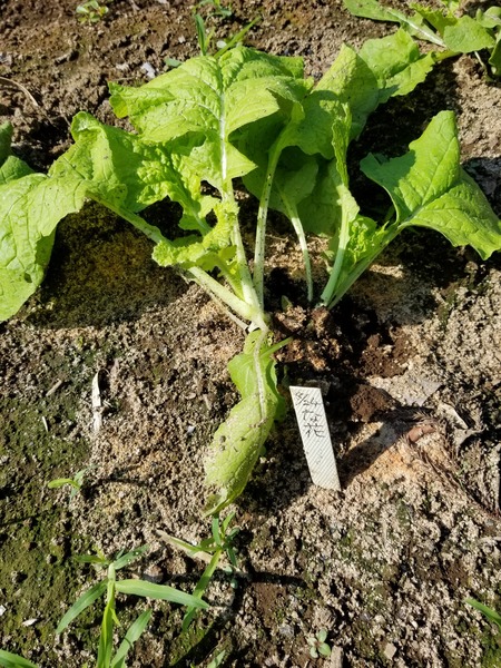 20190927_084406-1620x2160