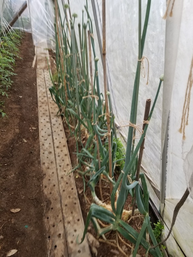 20230426_080005_copy_1512x2016