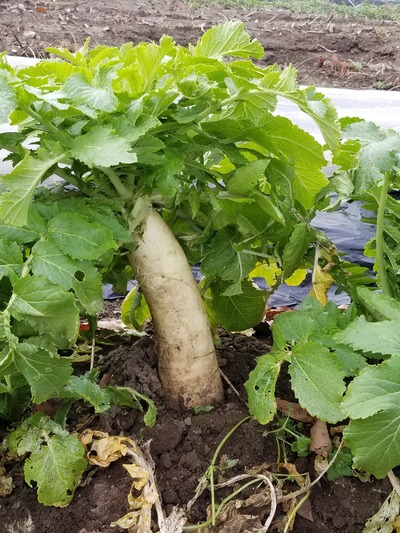 20200214_084748-2268x3024