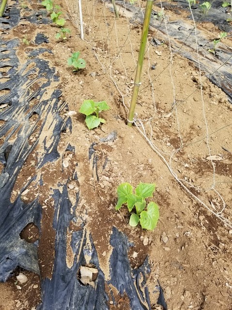 20190515_085656-1620x2160