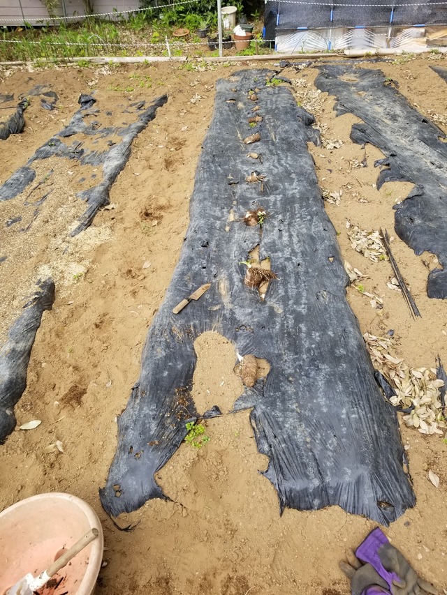 20230425_104624_copy_1512x2016