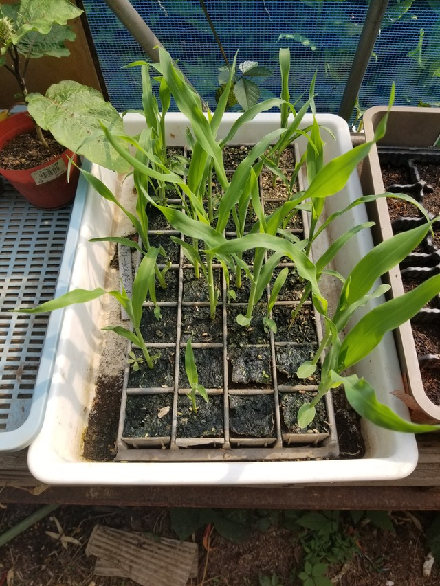 20230522_142909_copy_2268x3024