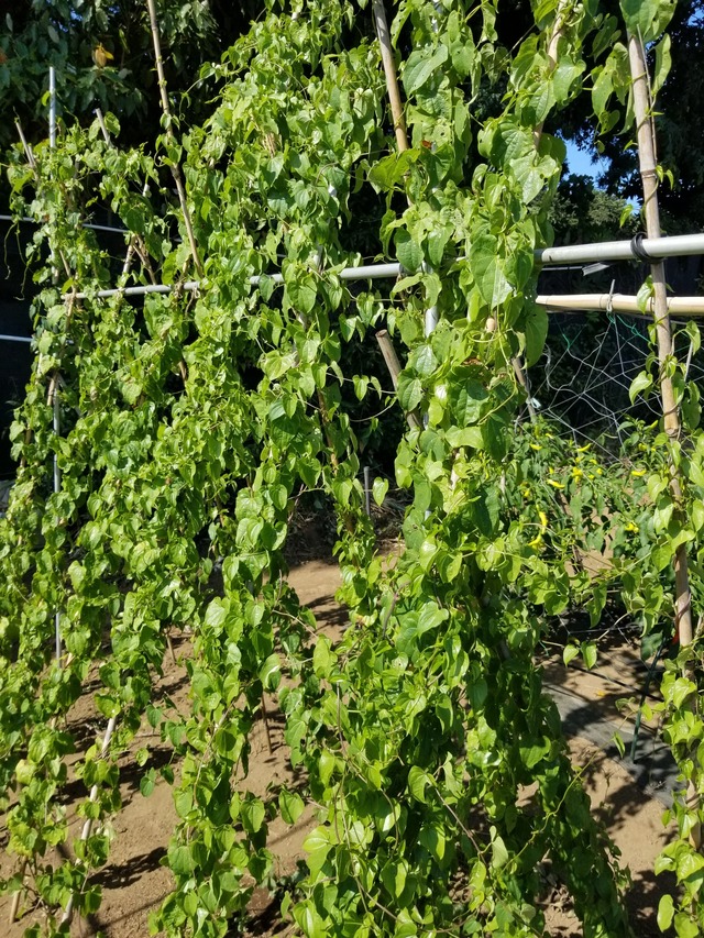 20230805_145338_copy_1512x2016