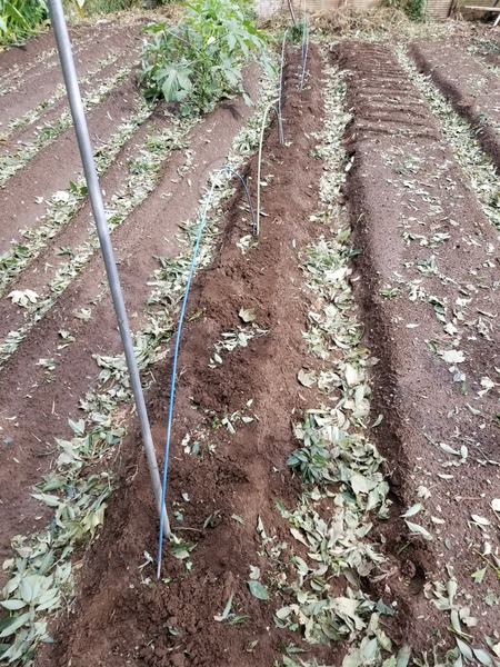 20190909_142034-1620x2160