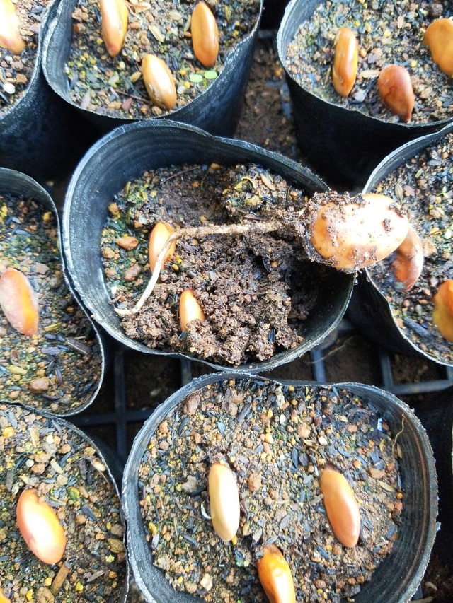 IMG_20231101_073929_DRO_copy_1512x2016