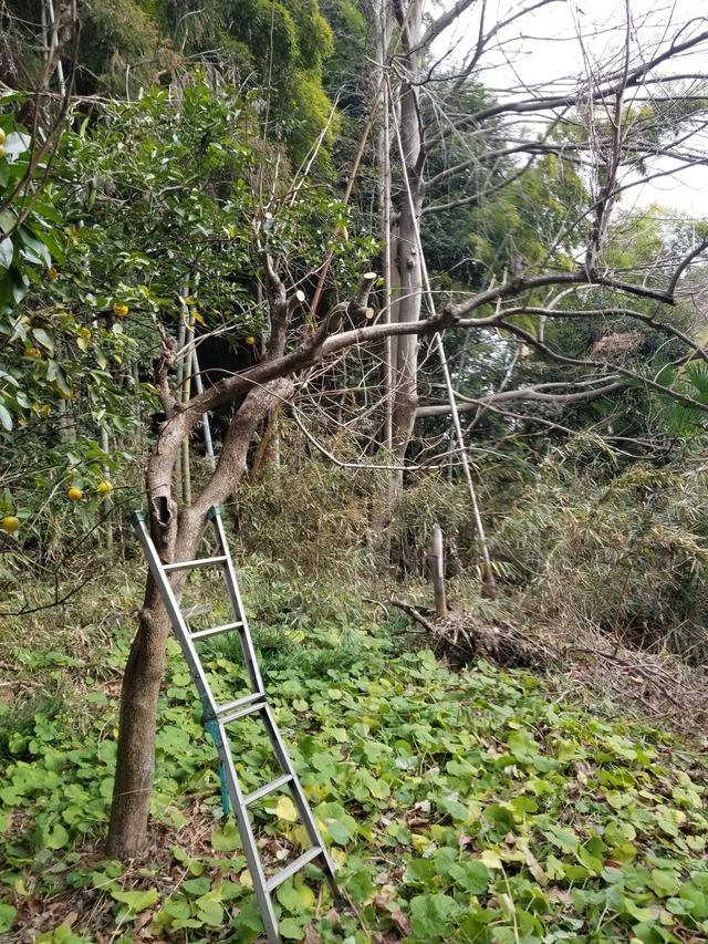 20240103_100534_copy_1512x2016