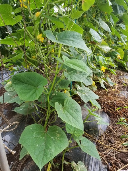 20190822_074747-1620x2160