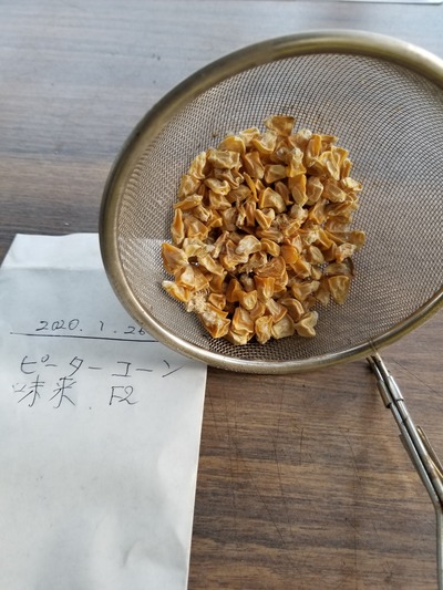 20200131_090314-2268x3024