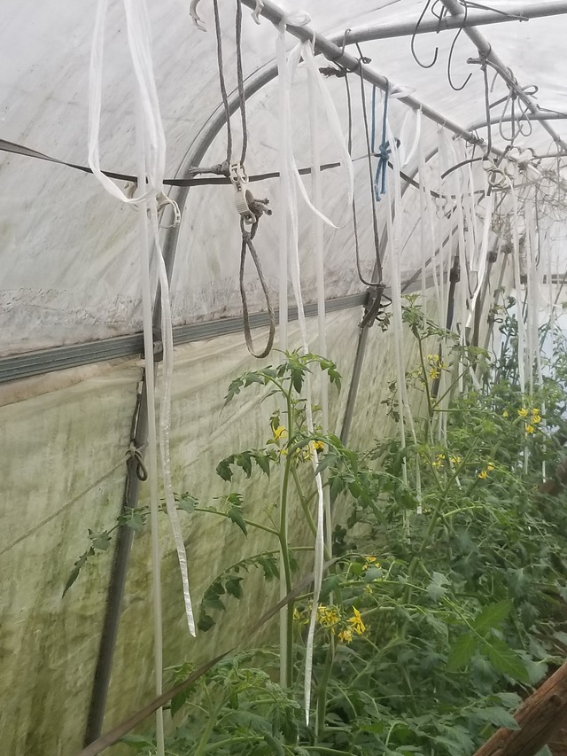 20230603_090339_copy_1512x2016