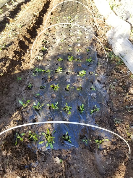 20191228_085816-2268x3024