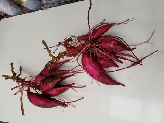 20191122_091045-2160x1620