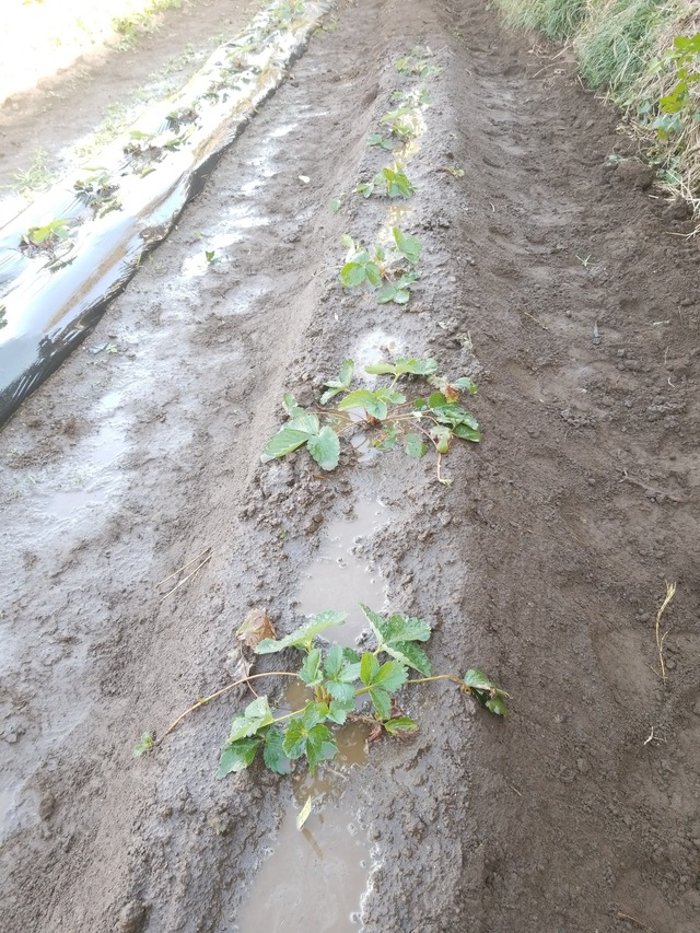 IMG_20231017_145858_copy_1512x2016