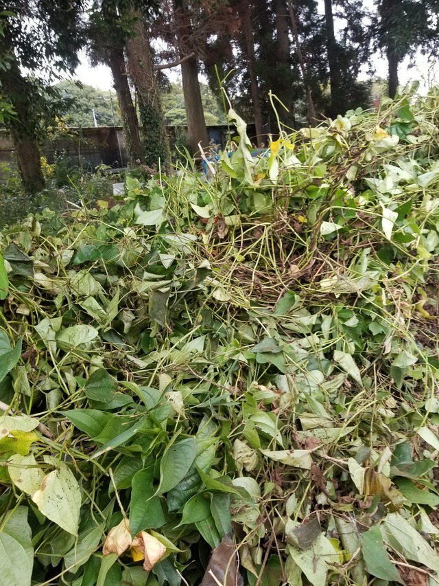 20231115_104102_copy_1512x2016