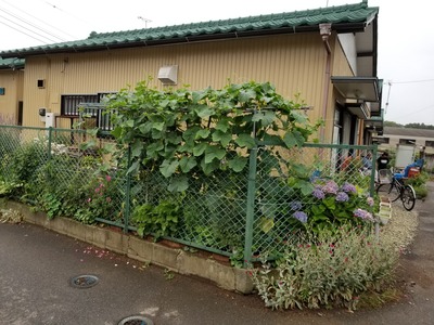 20190629_170235-2160x1620