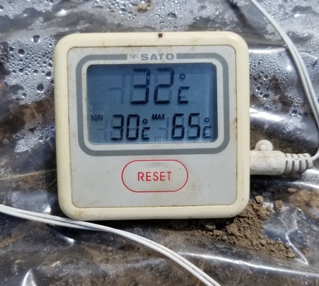 20190804_135243-1620x2160