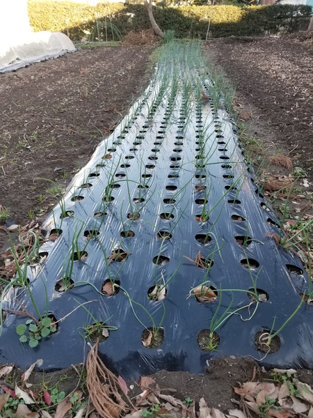 20191227_151114-2268x3024