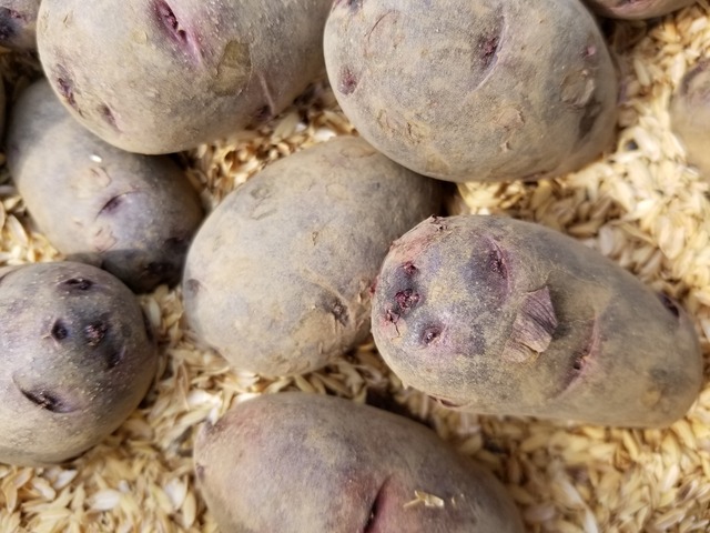 20200229_111016-3024x2268