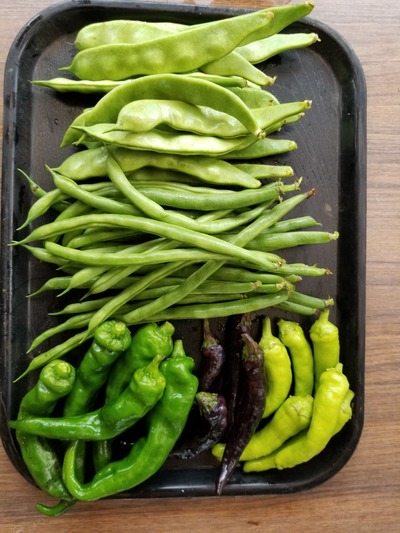 20190629_153958-1620x2160