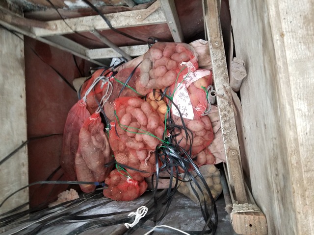 20231211_074526_copy_2016x1512_1