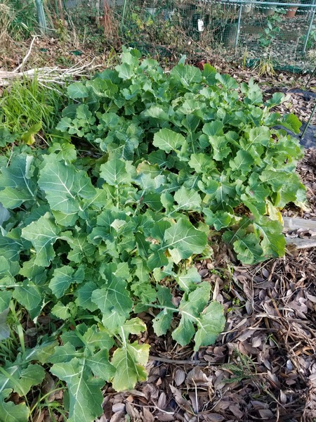 20200110_083717-2268x3024