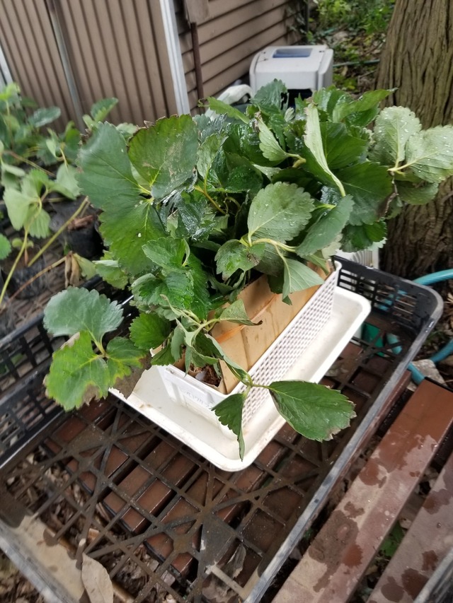 20230821_113351_copy_1512x2016