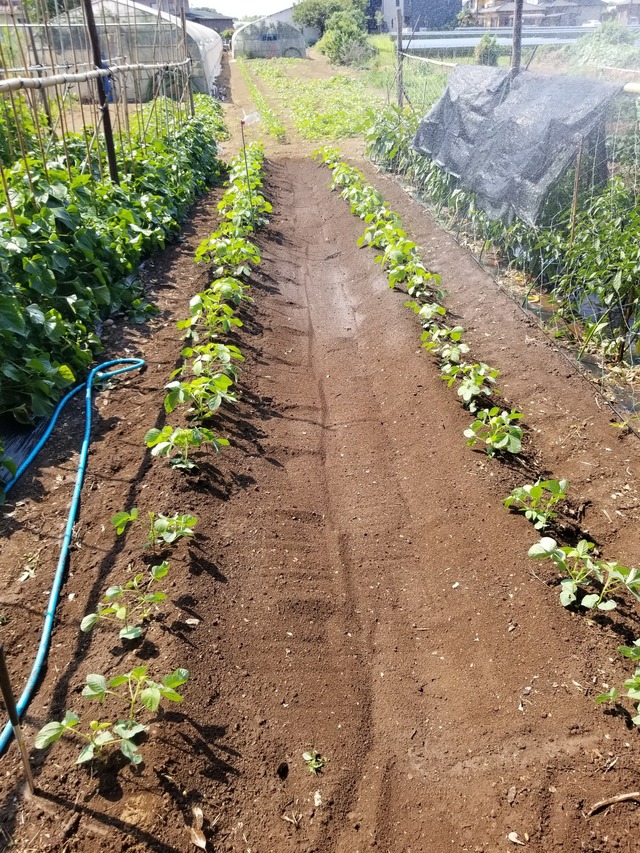 20230727_093446_copy_1512x2016