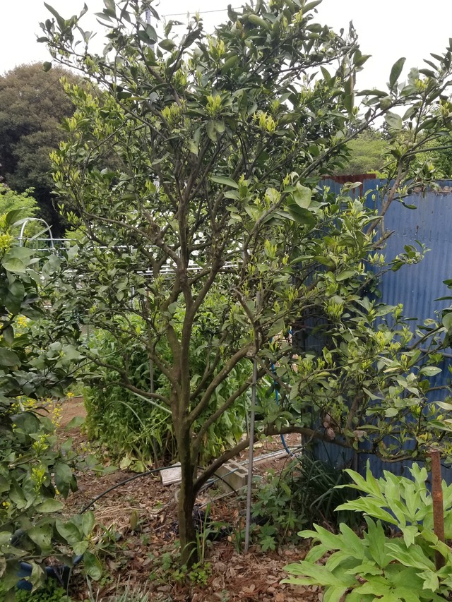 20230422_082553_copy_1512x2016