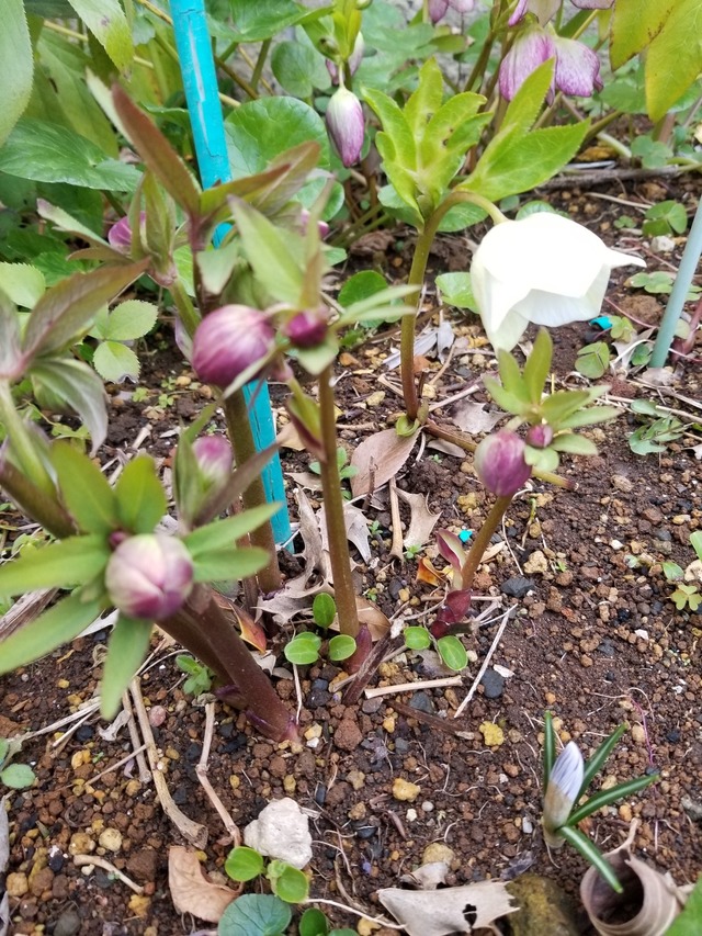 20230304_161711_copy_1209x1612