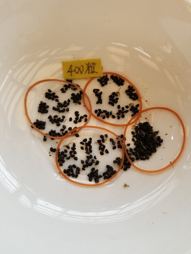 20230624_141012_copy_1512x2016