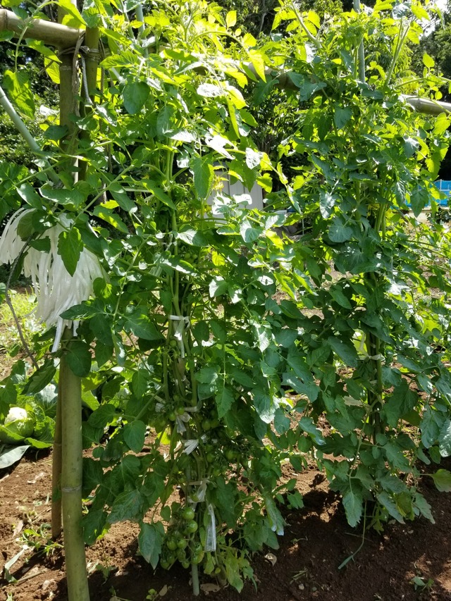 20190614_084501-1620x2160