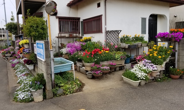 20190414_120310-3024x2268