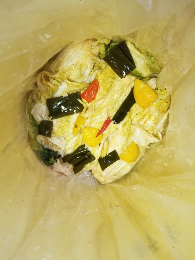 20211217_083749_copy_2268x3024