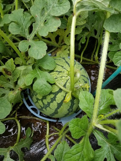 20190628_082605-1620x2160