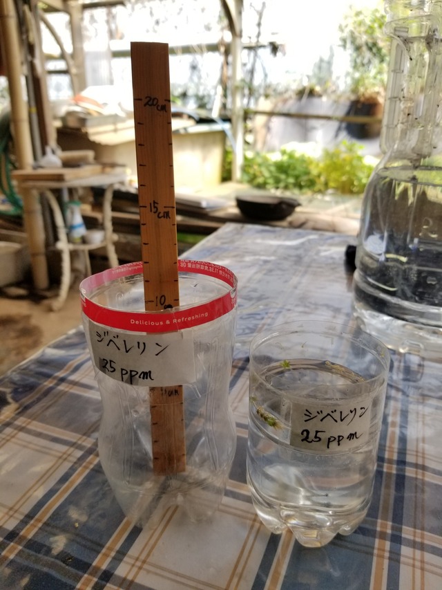 20230504_094703_copy_1512x2016