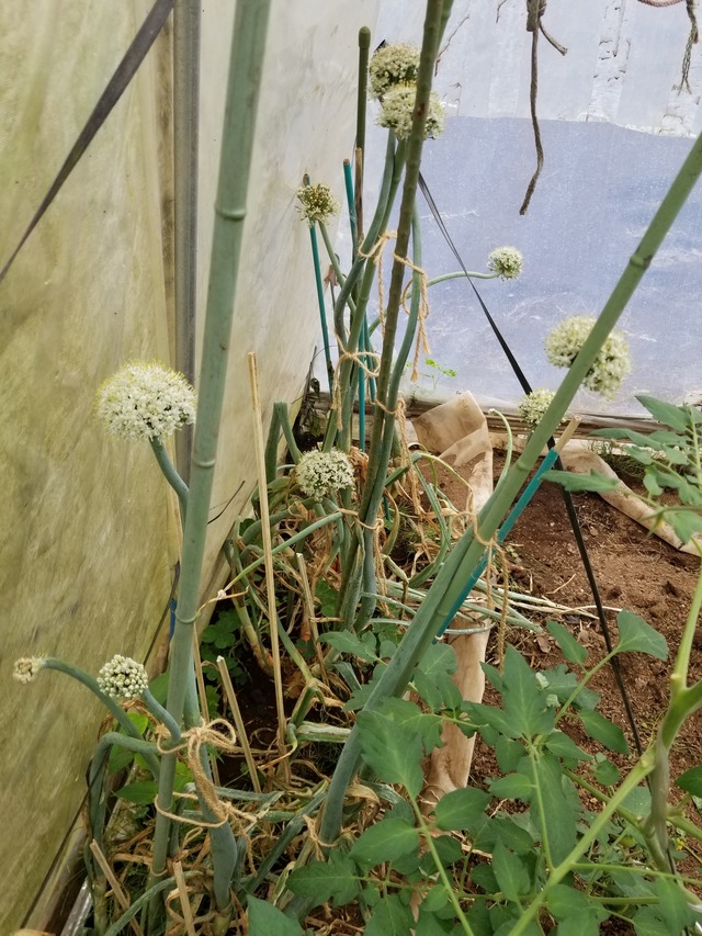 20230530_074829_copy_1512x2016