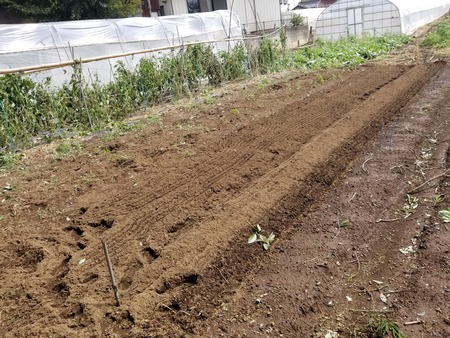 20190909_122611-2160x1620