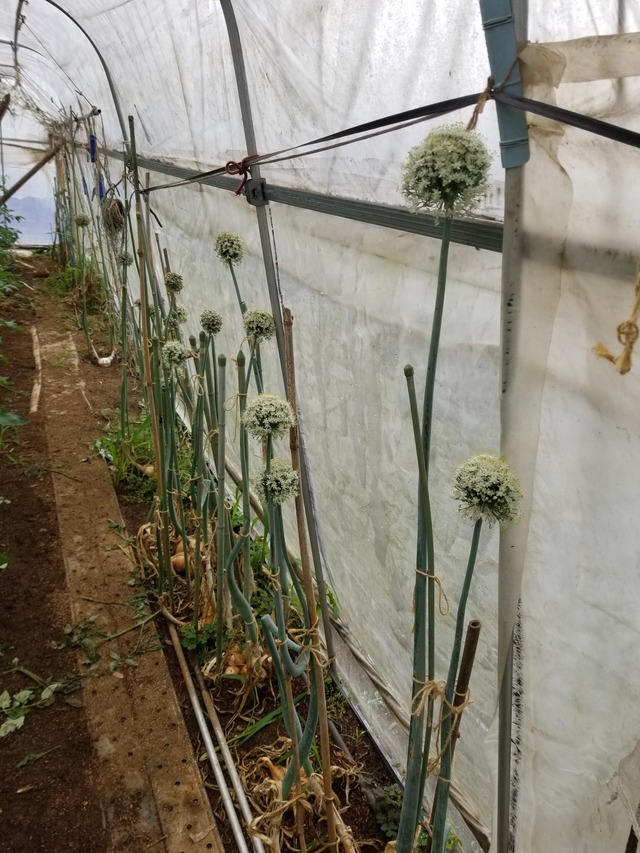 20230530_074710_copy_1512x2016