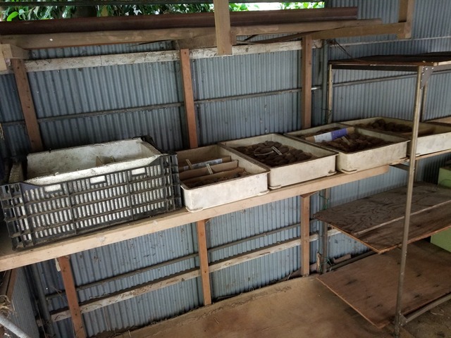 20200619_142333_copy_2268x1701