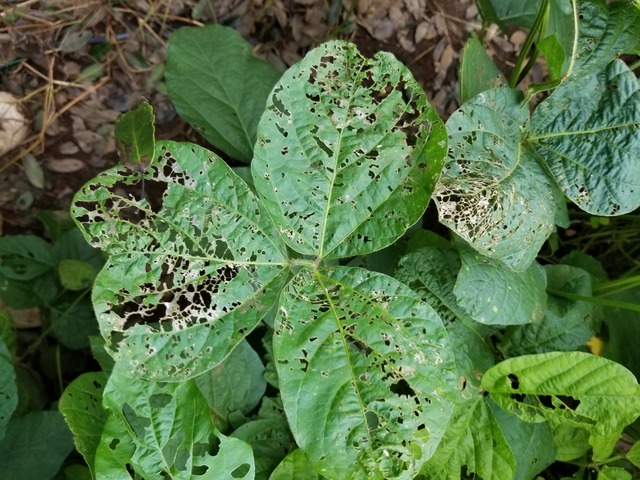 20210906_084204_copy_3024x2268