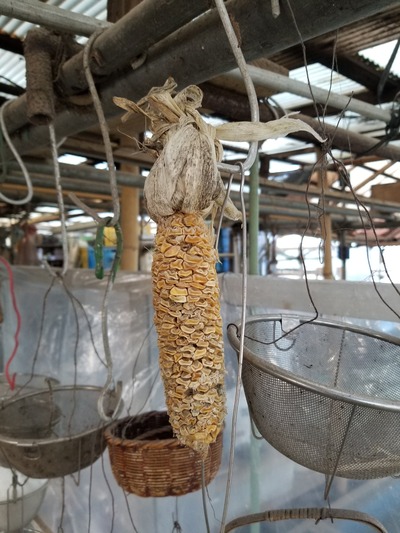 20200131_090058-2268x3024