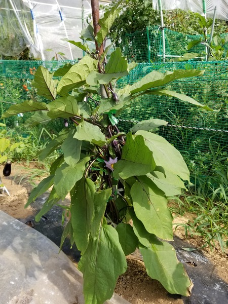 20190807_083219-1620x2160