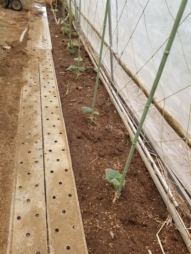 20230719_093934_copy_1512x2016