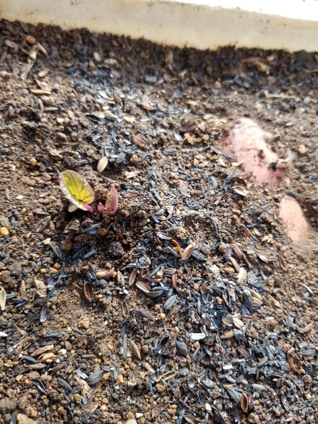 20240218_091052_copy_2268x3024