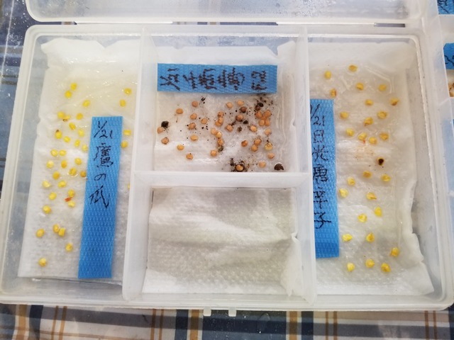 20240121_090642_copy_2016x1512