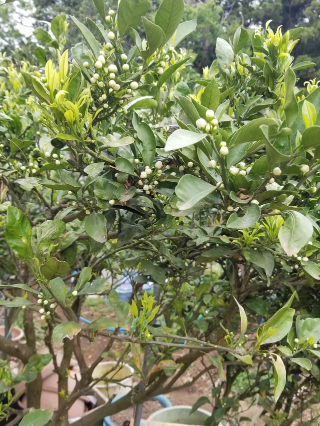 20230422_082404_copy_1512x2016