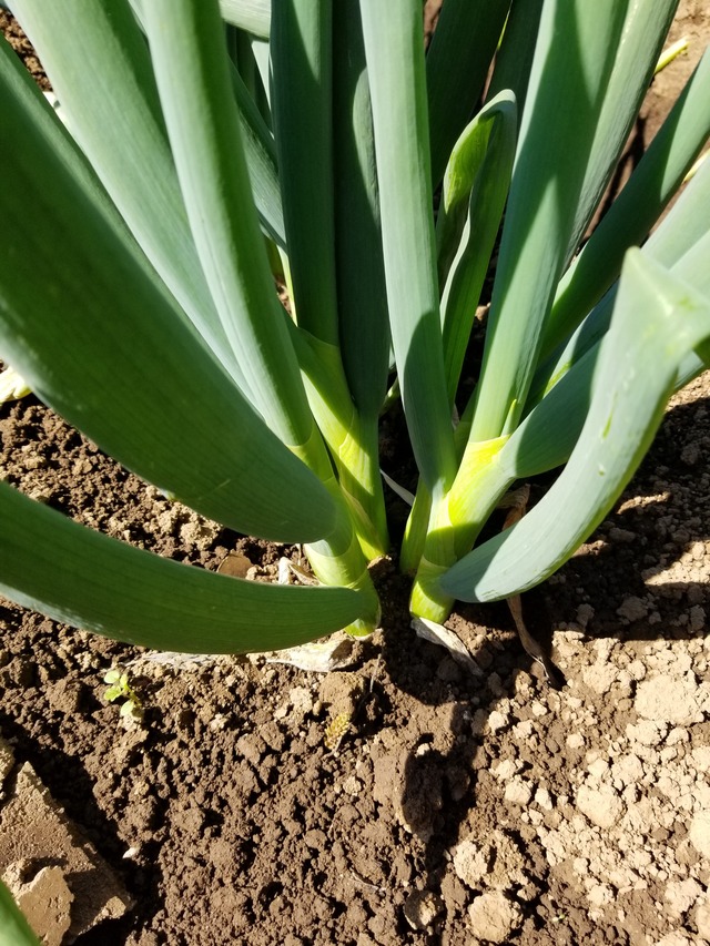 20200312_093749_copy_2268x3024