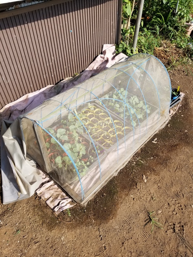 20210830_074313_copy_2268x3024